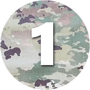 OCP 1a.png